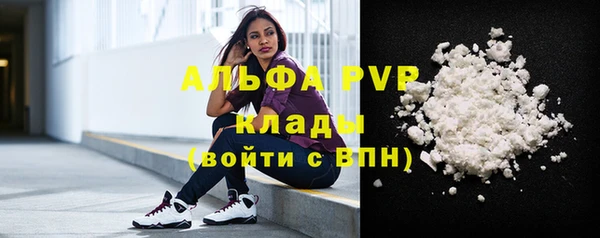 Альфа ПВП Бородино