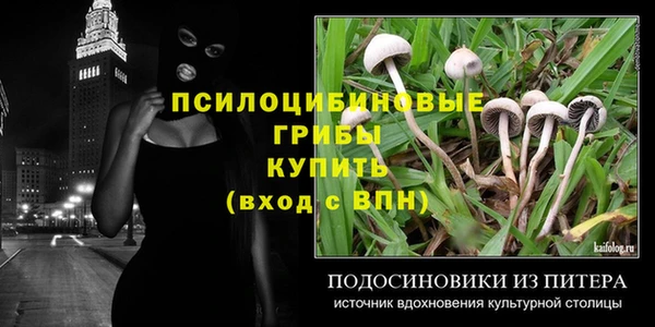 гашик Бугульма